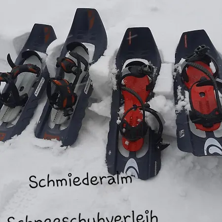 Schmiederalm *