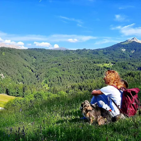Schmiederalm * Aldino
