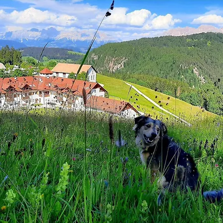Schmiederalm Guest house Aldino